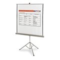 Projection Screens image